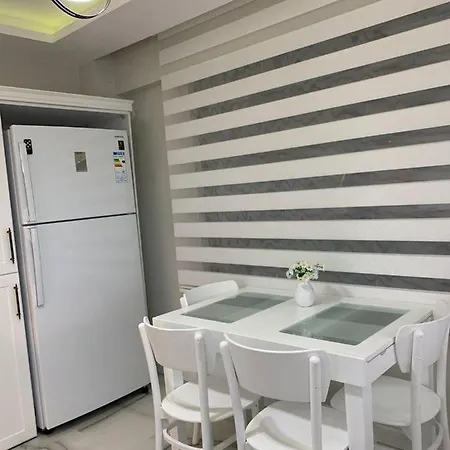 Appartement Vadi-isitmali Havuzlu-somineli-kis Bahceli-tamamen Mustakil Sapanca