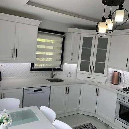 Appartement Vadi-isitmali Havuzlu-somineli-kis Bahceli-tamamen Mustakil Sapanca